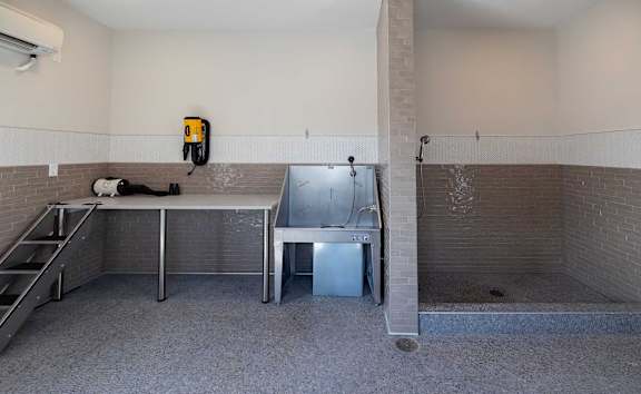 A bathroom with a shower and a sink.