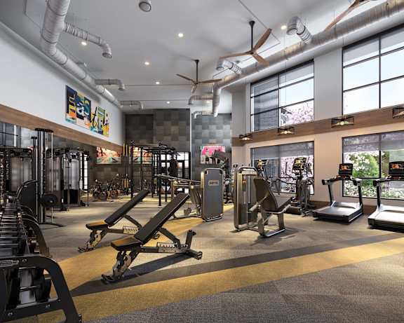 a gym with weights and cardio equipment and windows