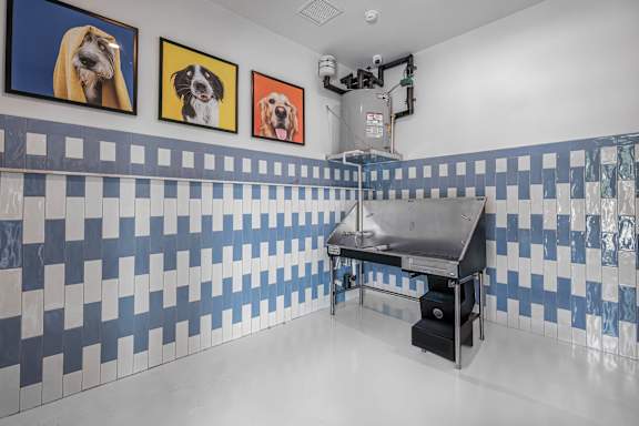 Pet Wash at Altis Grand Twin Lakes, Kissimmee, 34744