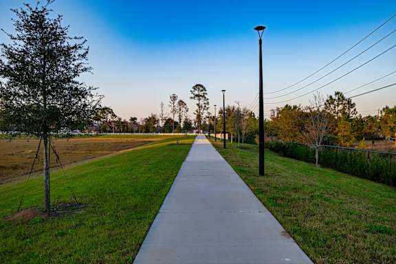 Sunset-from-Walking-Trail at Altis Grand Lake Willis, Orlando