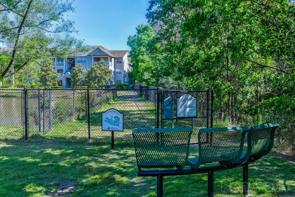 dog park
