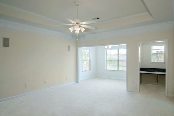 vaulted tray ceilings