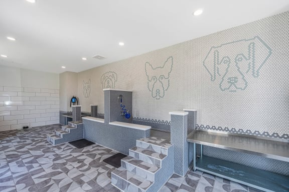 a view of the dog wash area with a large mosaic of dogs on the wall