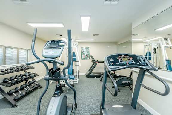 A gym with treadmills, elliptical machines, and a weight rack.