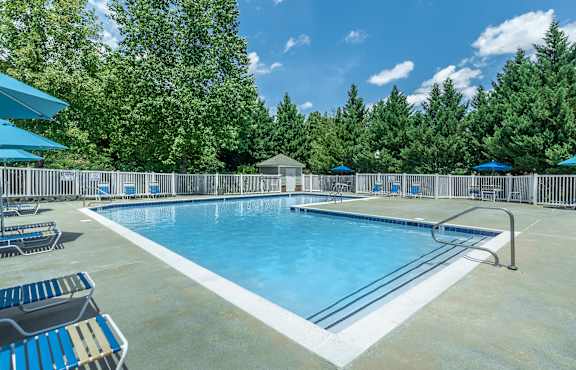 A large outdoor swimming pool surrounded by trees and lounge chairs.