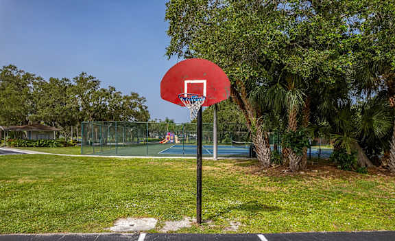 A basketball hoop stands in a grassy area with trees in the background.