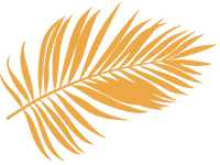 A solid orange color with black border