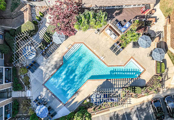 An aerial view of a pool surrounded by trees and umbrellas.
