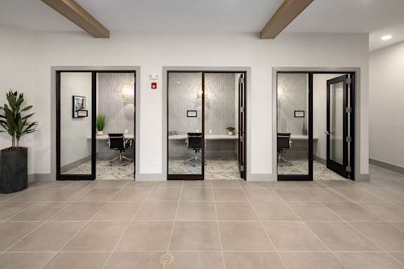 Three glass doors in a row with a plant on the left.