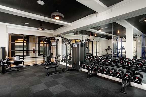 A gym with a variety of equipment including dumbbells, weight plates, and a bench press.