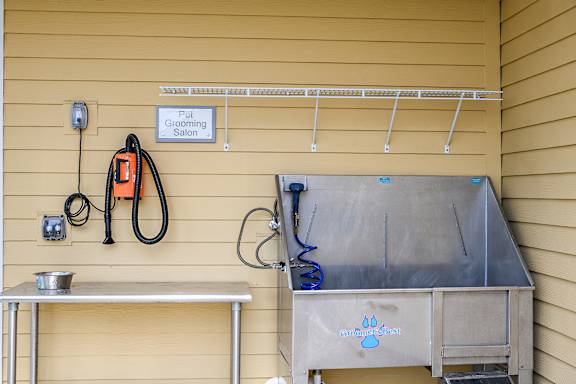 A grooming station with a sign that says "Pet Grooming Salon" is set up on a yellow wall.