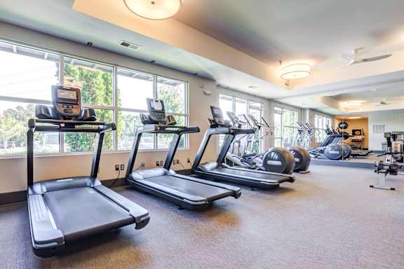 A gym with treadmills and elliptical machines.