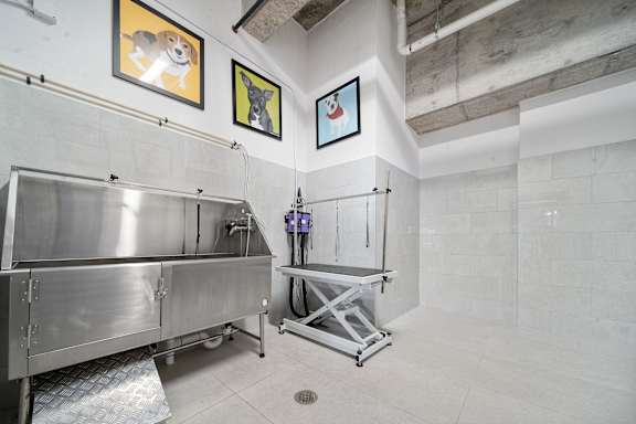 A clean, empty industrial kitchen with stainless steel appliances and white walls.