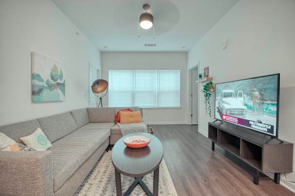 A living room with a grey couch, a coffee table, and a television on a stand.