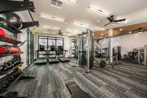 a gym with cardio equipment and weights on the walls and a glass window