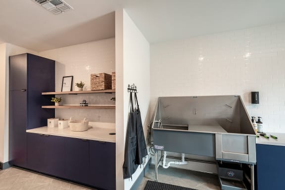 a kitchen with a sink and a stove and a refrigerator