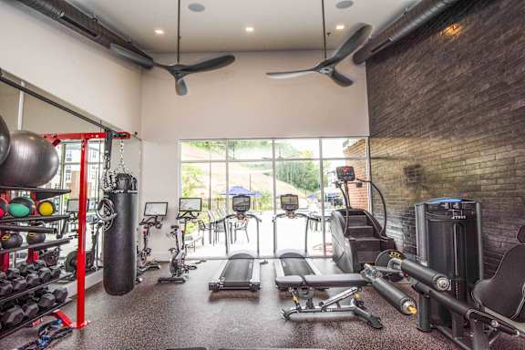A gym with a variety of equipment including a punching bag, treadmills, and weights.