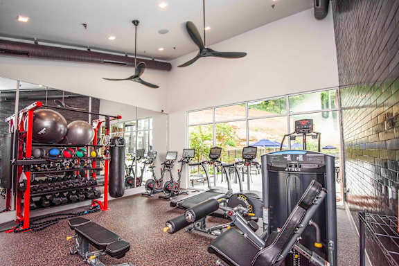 A gym with a variety of equipment including a treadmill, weights, and a bench press.