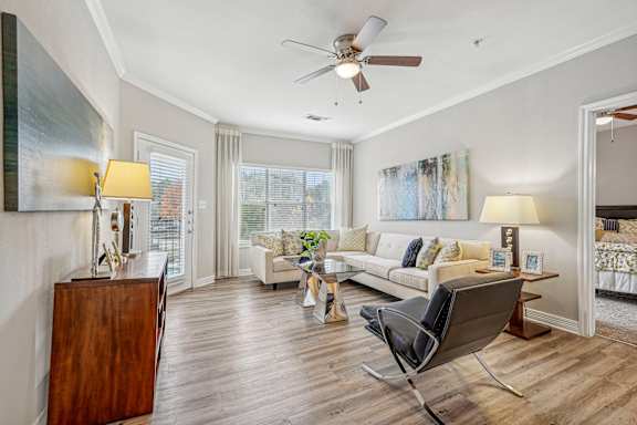 A living room with a chair and a couch.