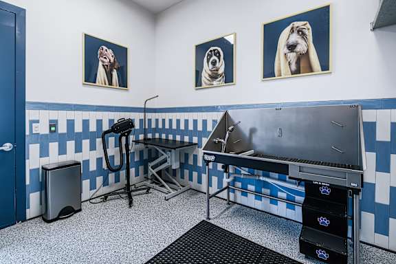 A room with a blue and white checkered wall and a black table.