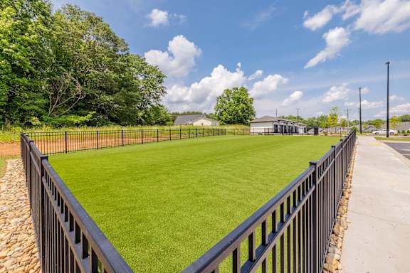 A black fence surrounds a green field.