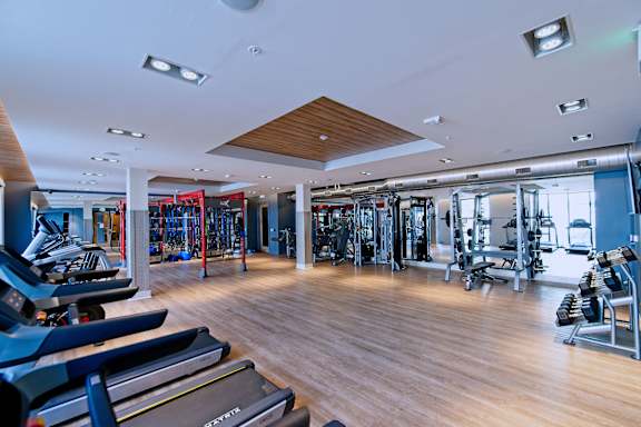 A gym with treadmills, weights and exercise equipment.