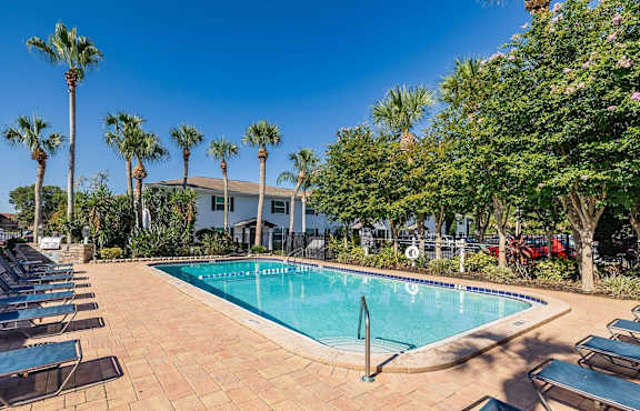A pool surrounded by palm trees and lounge chairs