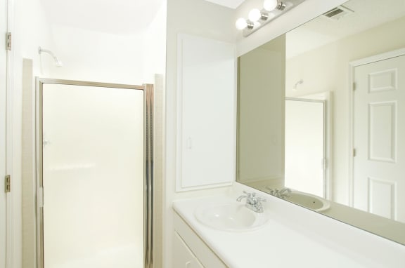 master bath with vanity and walk in shower