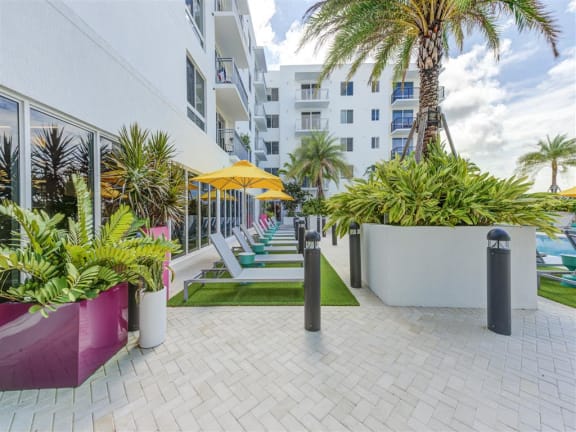 a patio with palm trees and lounge chairs at Altis Little Havana Apartments in Miami, FL 33135