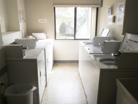 a row of washers and dryers in a laundry room