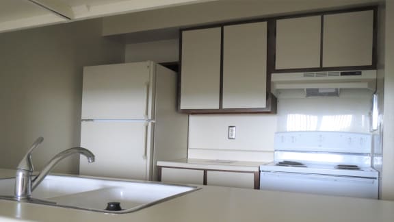 a kitchen with white cabinets and a white sink