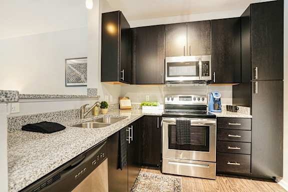 A modern kitchen with black cabinets and stainless steel appliances.
