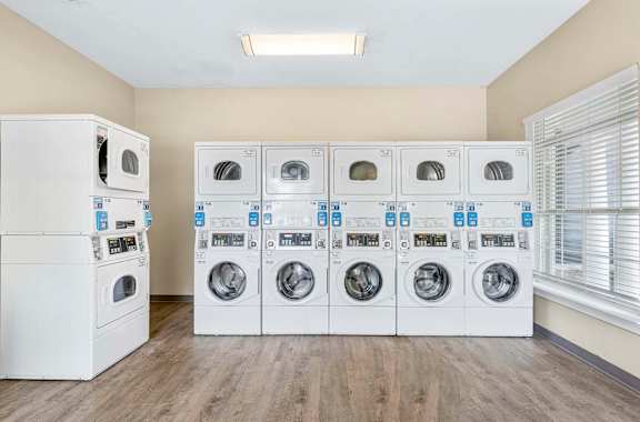 A row of white washing machines are lined up in a room.