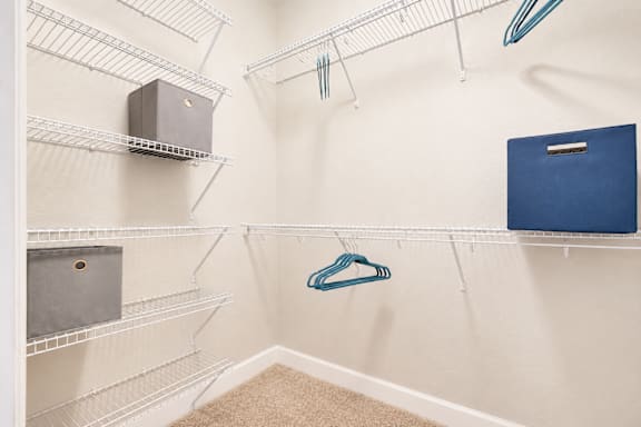 A walk-in closet with a blue box on the shelf.