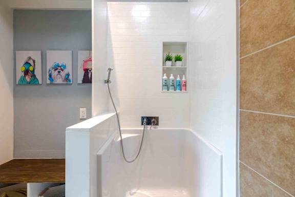 A bathroom with a white shower and a shelf with bottles.