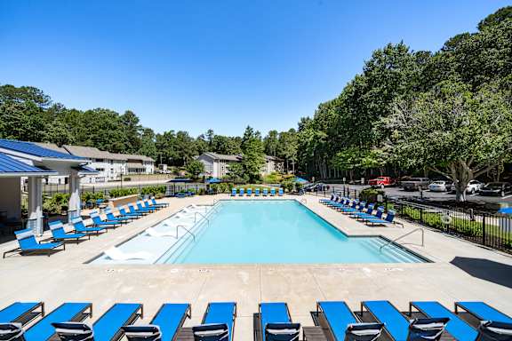 A large swimming pool surrounded by blue sun loungers.