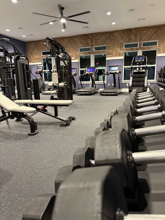 a gym with rows of weights and cardio equipment