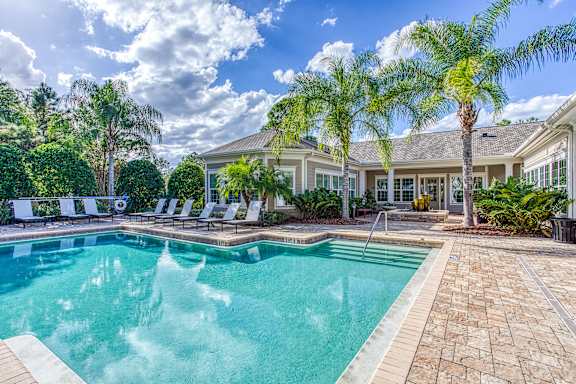 A large swimming pool in front of a house with a palm tree.