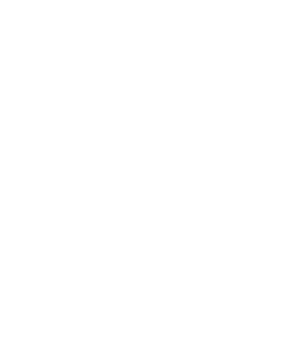 the logo of a saton plaza acupuncture clinic with a triangle and the word acupuncture