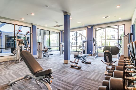 a gym with cardio machines and weights on the floor and windows