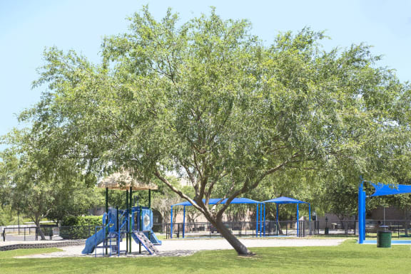 The Reserve playground