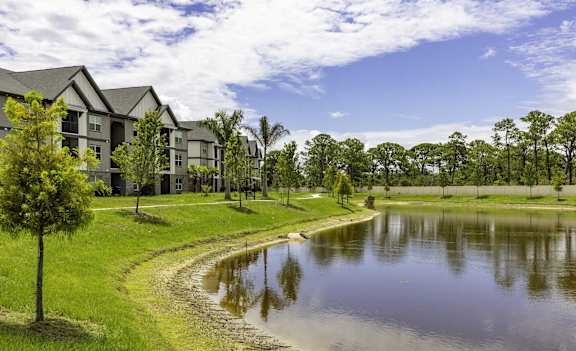 A serene landscape with a pond, a tree, and a row of houses.
