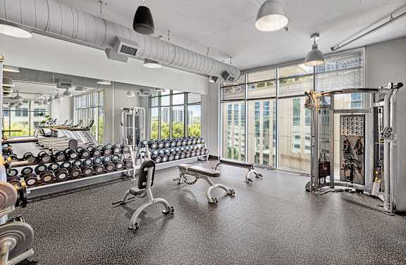 A gym with a row of dumbbells and a bench.