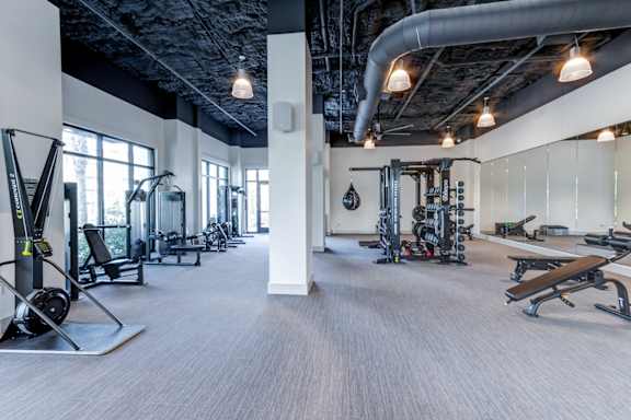 A gym with a variety of equipment including weights and cardio machines.