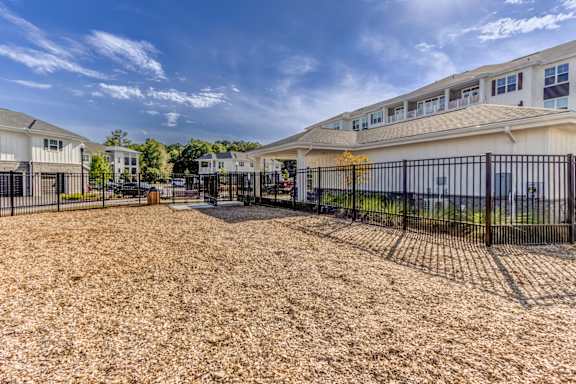 A sunny day at a residential area with houses and a fenced yard.