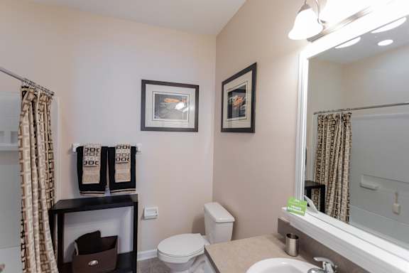 A bathroom with a toilet, sink, mirror, and two framed pictures on the wall.