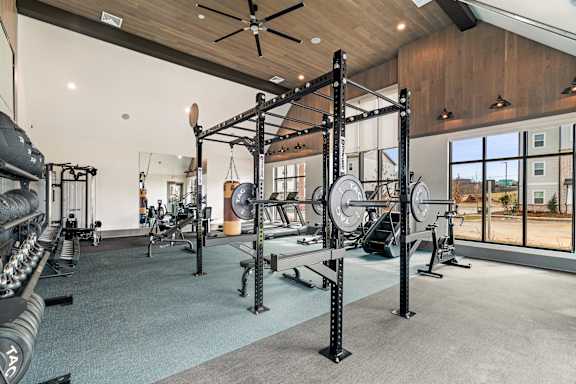 A spacious gym with a variety of equipment including a squat rack, bench press, and a barbell.