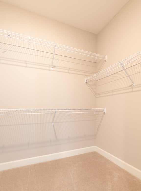 Walk in Closet at Greystone Pointe, Knoxville, TN