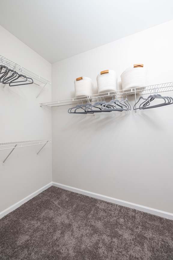 A white closet with grey carpet and two shelves with hangers and jars.