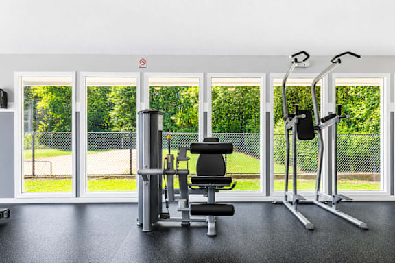 A gym with a view of a green fenced area outside the window.